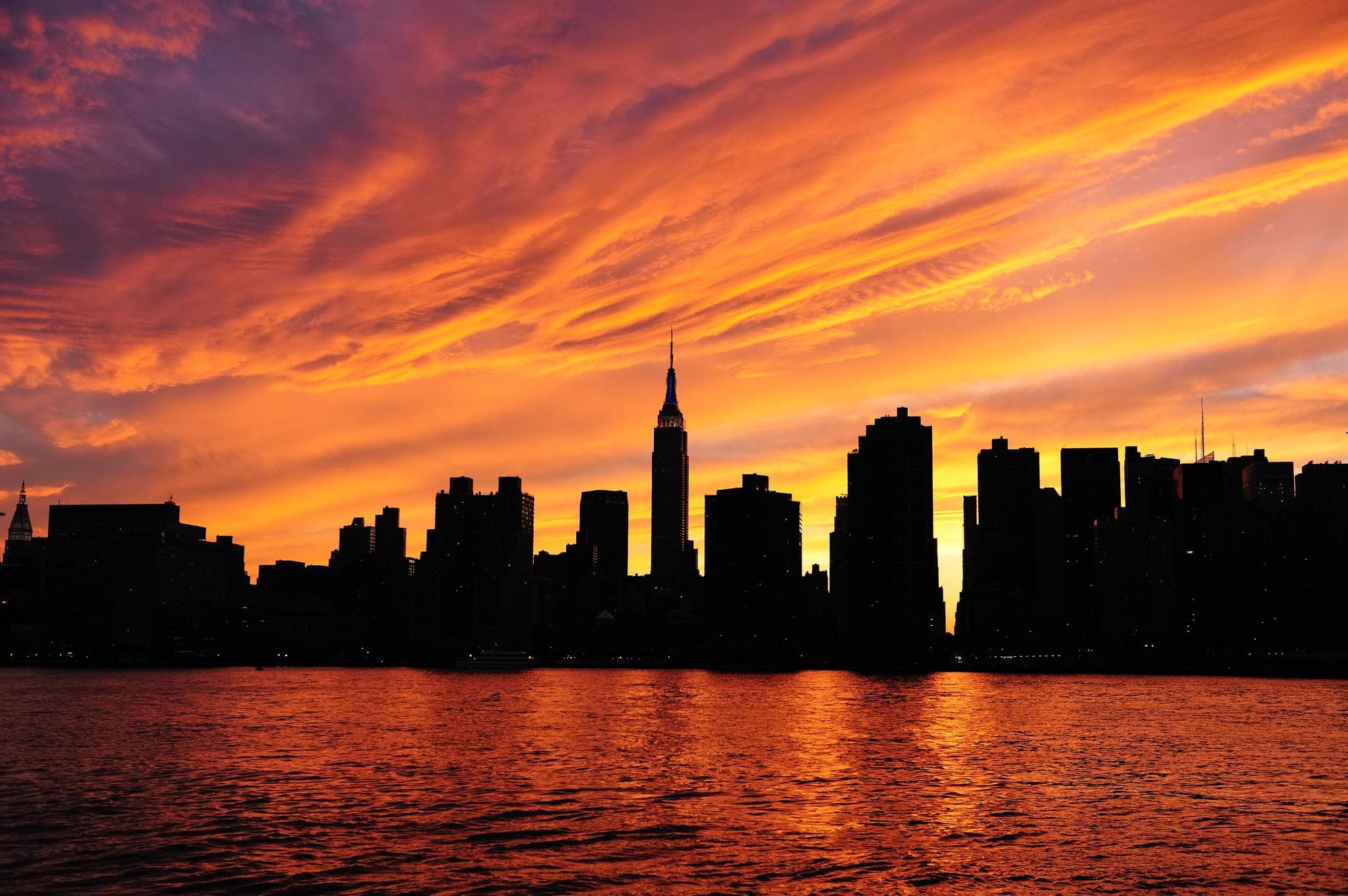 New York en famille : que voir, faire et organiser son séjour