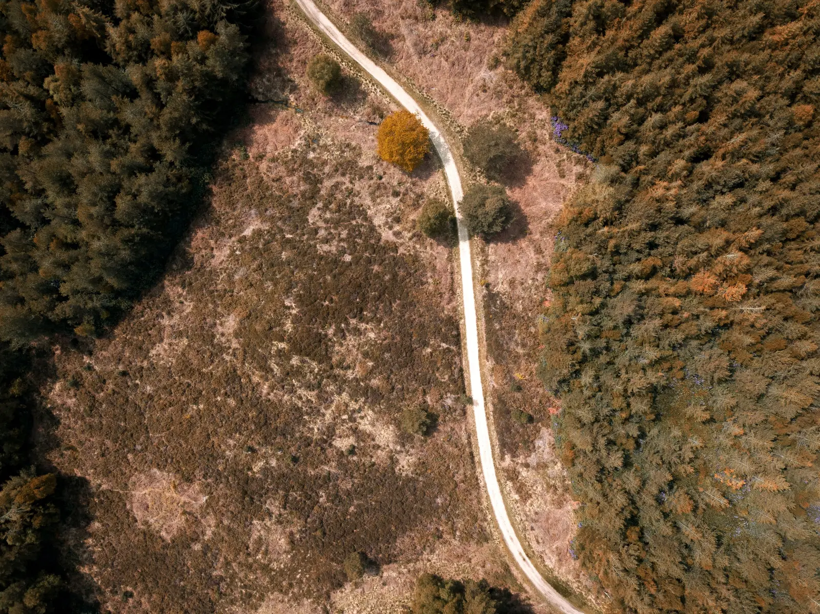 Aperçu du planificateur de road-trip